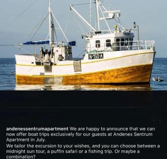 Andenes Apartment | Andenes Sentrum Apartment
