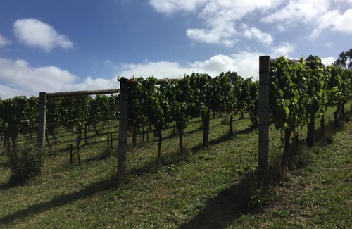 Arthurs Seat Bed & Breakfast | Anderida