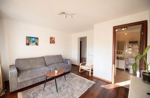 Vilnius Apartment | Angelica Apartment