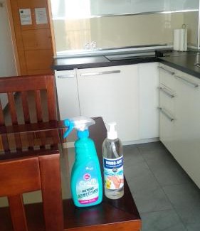 Perchel Sur Apartment | Angosta del Carmen