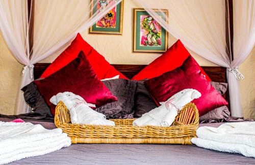 Kamanjab Other | Ann's Lodge & Camping