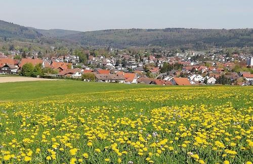 Michelstadt Apartment | Annettes Ferienwohnung