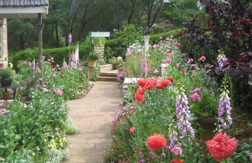 Grose Vale Cottage | Annies cottage and garden