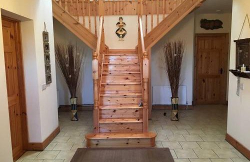 Connacht House | Annies Meadow.