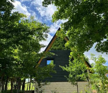 Virak Ski Chalet | Anovi house