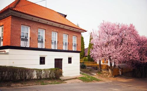 Tokaj Apartment | Antalóczy Winery&Apartments