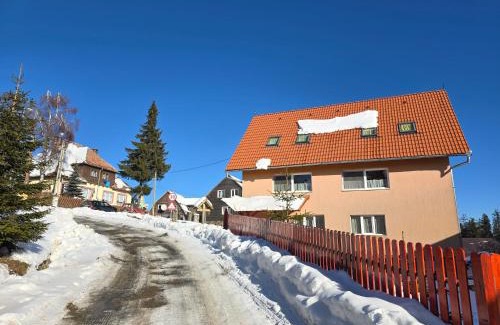 Harghita-Bai Villa | Antal Villa - 5mins to ski slope & 1min to skating