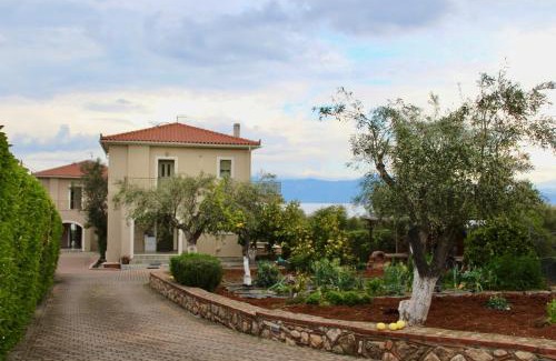 Chalcis Villa | Anthelia