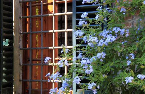 Colle di Buggiano Bed & Breakfast | antica casa "le rondini"