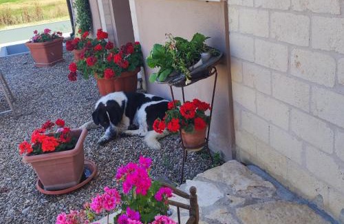 Candela Bed & Breakfast | Antica Masseria Il Casone