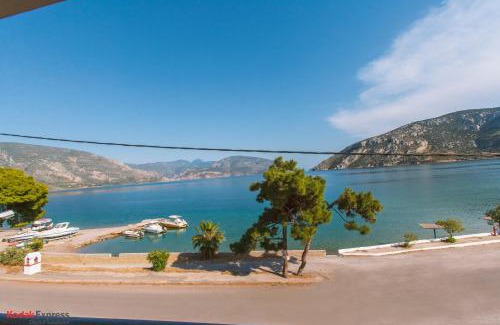 Antikyra Hotel | Antikyra Beach Hotel