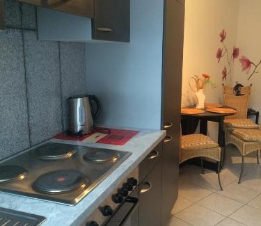Meiningen Apartment | Anton-Ulrich Apartment