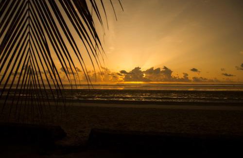 Chwaka Hotel | Antonio Beach Tree House Hotel & Spa