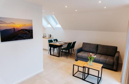 Raba Wyzna Apartment | Apart Home Raba Wyżna