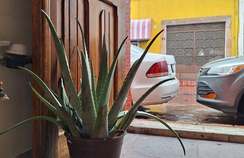 Downtown Queretaro Apartment | Apartamento en Casona Colonial en Querétaro, México con Desayuno Continental