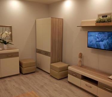 Lancut Apartment | Apartament Łańcut