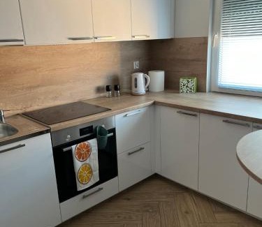 Torun Apartment | Apartament 55 z miejscem w garażu