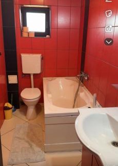 Beius Bed & Breakfast | Apartament A&V