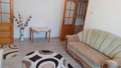 Tirgu Ocna Apartment | Apartament ALEX-LUXURY