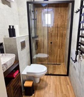 Boguszow-Gorce Apartment | Apartament Antracytowe Wrota 2