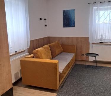 Nowy Sacz Apartment | Apartament Asnyka Centrum