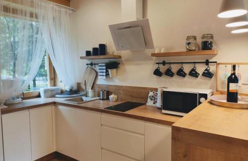 Lapsze Nizne Apartment | Apartament Borowikowe Zacisze