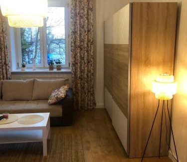 Ostrow Wielkopolski Apartment | Apartament BROWARNY