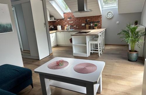 Grzechynia Apartment | Apartament Buldog