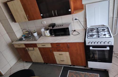 Piatra Neamt Apartment | Apartament central