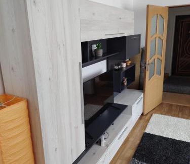 Piatra Neamt Apartment | Apartament central