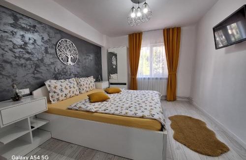 Tirgu Ocna Apartment | Apartament CENTRAL