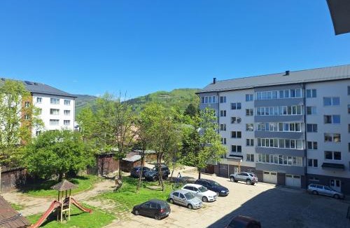 Viseu de Sus Apartment | Apartament Central