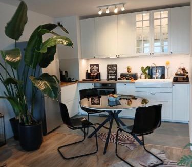 Pradnik Bialy Apartment | Apartament City Center Kraków