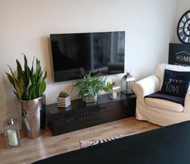 Pradnik Bialy Apartment | Apartament City Center Kraków