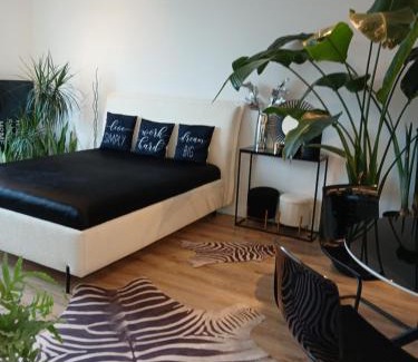 Pradnik Bialy Apartment | Apartament City Center Kraków