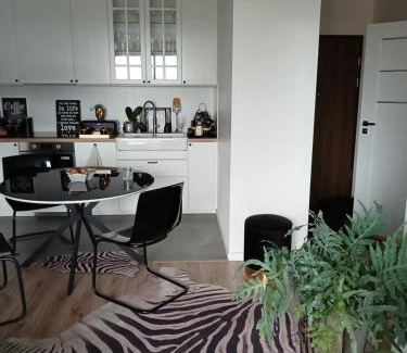 Pradnik Bialy Apartment | Apartament City Center Kraków