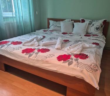 Timisoara Apartment | Apartament Crăciunița