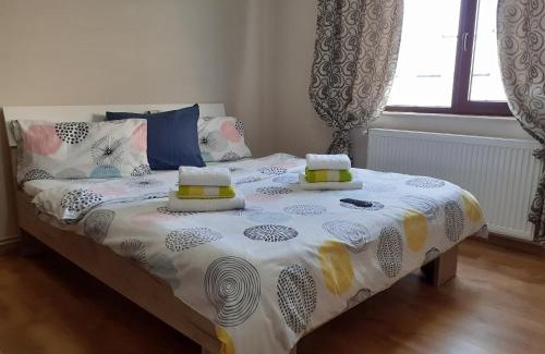 Onesti Apartment | Apartament Cristina cu doua dormitoare & balcon & parcare