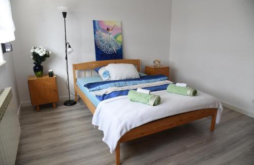 Imielin Apartment | Apartament Emmi