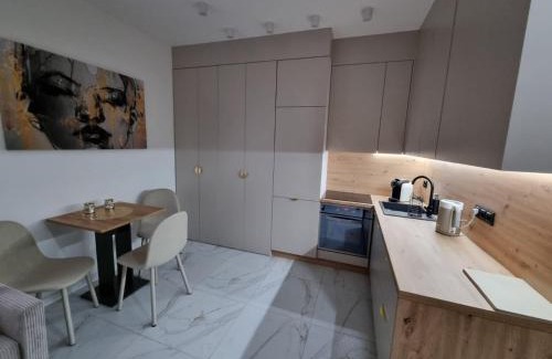 Jedlina-Zdroj Apartment | APARTAMENT JEDLINKA B
