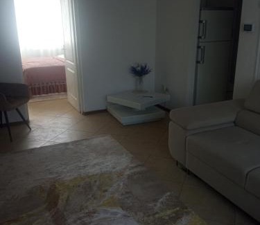 Bacau Apartment | Apartament kilometrul 0 Bacau
