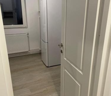 Roman Apartment | Apartament la Nicole ultracentral Bld Roman bloc 39