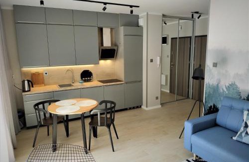 Bartoszyce Apartment | Apartament Limanowskiego 20/6