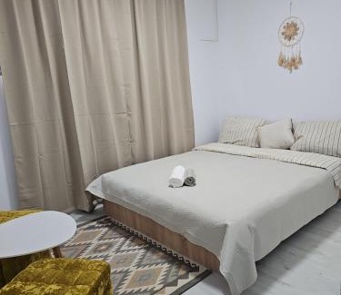 Arad Apartment | Apartament linistit, Parcare gratuita, intrare Non Stop