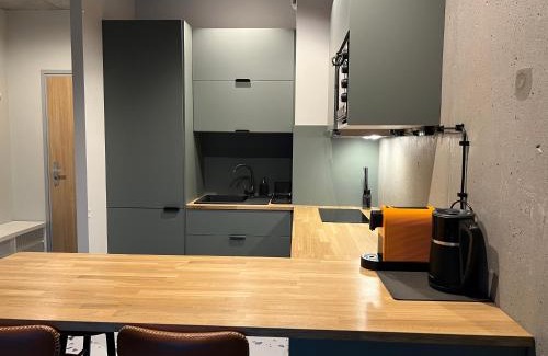 Chorzow Apartment | Apartament LOFT M84