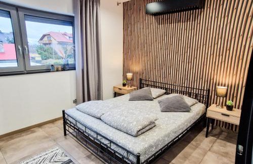 Pszczyna Apartment | Apartament LOFT