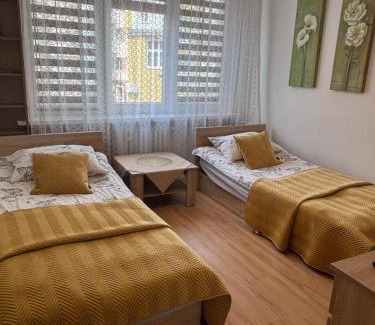 West Pomeranian Voivodeship Apartment | Apartament Lopuskiego 16