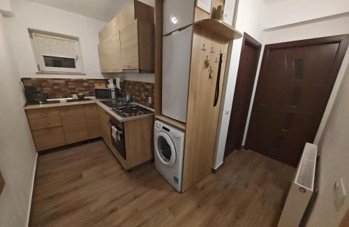 Caciulata Apartment | Apartament Luca