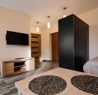 Kedzierzyn Kozle Apartment | Apartament Lukas
