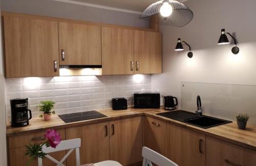 Bierutowice Apartment | Apartament Malinowy Zakątek Triventi Mountain Residence